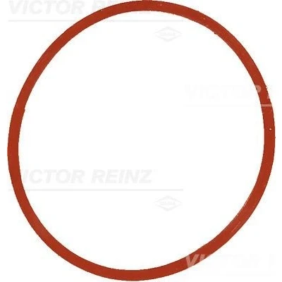 Imagen de REINZ 40 77534 00 Junta Colector de Admision NBR (caucho nitril butadieno) BMW: 3 Berlina, 5 7