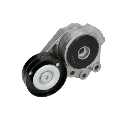 Imagen de BTA E3W0009BTA Tensor de Correa VOLKSWAGEN: Golf 5, Passat B6 Berlina, Touran I, SEAT: Alhambra II, Ibiza 4, 4 Sportcoupe, SKODA: Fabia 2