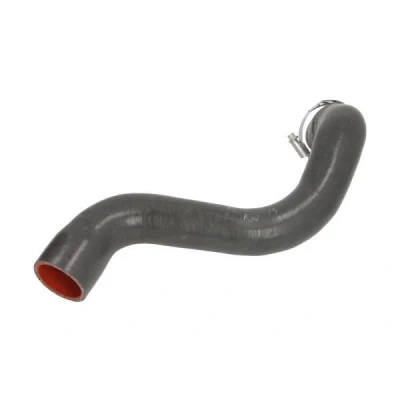 Imagen de THERMOTEC DCR201TTS Manguera Turbo RENAULT: SCENIC 2, MEGANE 2 Stufenheck