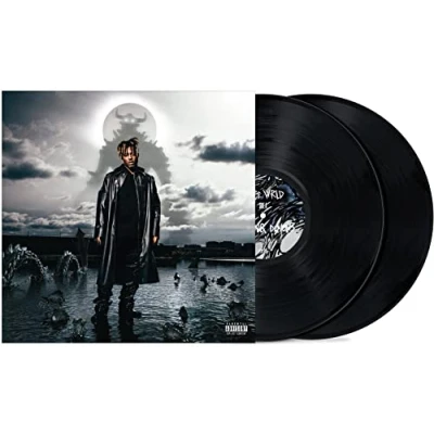 Imagen de Fighting Demons (2LP) [Vinilo]