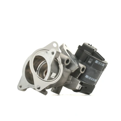 Imagen de DELPHI EG10396 12B1 Válvula EGR sin juntas PEUGEOT: 5008 I, 407 Berlina, 307 SW, CITROËN: C5 3, C4 I Hatchback, Picasso 1, FIAT: Scudo II norauto,