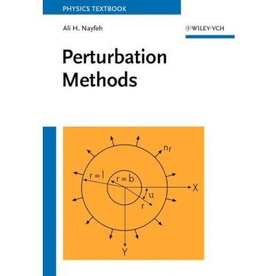Imagen de Perturbacion Methods
