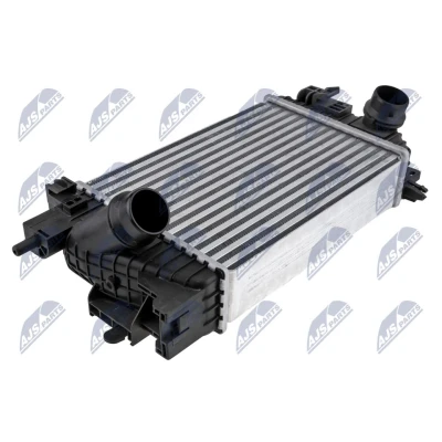 Imagen de Radiador de aire admisión NTY CNG PL 008