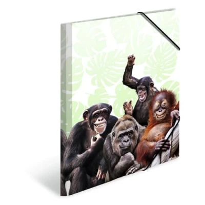 Imagen de HERMA 19960 carpeta de dibujo Animales exóticos con motivo Pandilla monos, A4, plástico resistente, impresión interior, 1 palmo