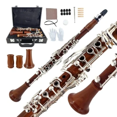 Imagen de Yinfente B Flat clarinete de madera palisandro con llaves chapadas en plata, funda para 17 + cañas almohadillas profesional e intermedio