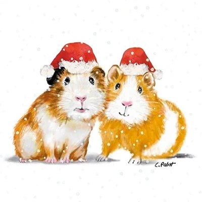 Imagen de 20 Servilletas de Navidad hámster con gorro Papá Noel como decoración mesa. papel diseño. También para decoupage y (33 x 33 cm)