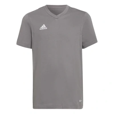 Imagen de adidas Performance Entrada Camiseta básica Team grey para niños, Talla: 128,