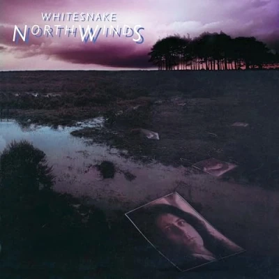 Imagen de Northwinds Vinilo Negro Hielo Whitesnake