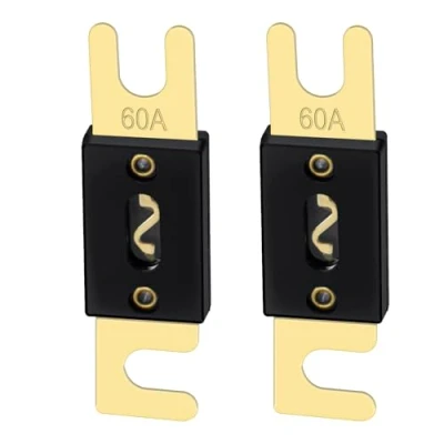Imagen de Heschen ANL Fuse 60 Juego de 2 fusibles amperios para sistemas audio automóviles, color dorado y negro