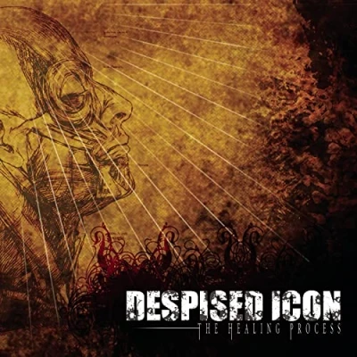 Imagen de The Healing Pocess [Vinilo]