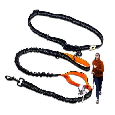 Imagen de Hundefreund Correa para Correr Perros Grandes a Partir de 15 kg, elástica Manos Libres con cinturón Abdominal Ligero, Naranja (120 cm, Extensible hasta 170 cm)