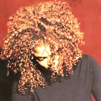 Imagen de The Velvet Rope [Vinilo]