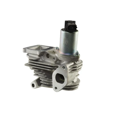 Imagen de HELLA 6NU 010 171 851 Válvula EGR eléctrico con junta RENAULT: MEGANE 2, LAGUNA 2 Stufenheck