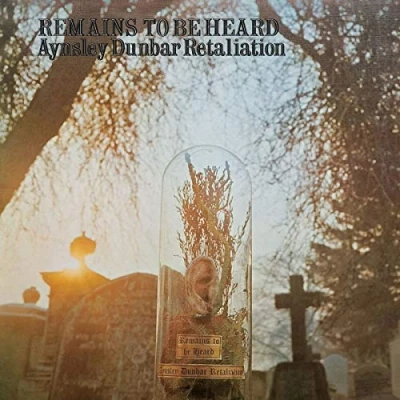 Imagen de Remains To Be Heard Vinilo