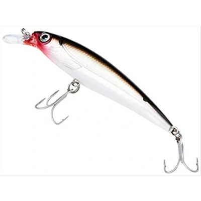 Imagen de Rapala Señuelo X Rap Saltwater Material de Pesca para Grandes Peces Carnívoros, Unisex Adult, Silver, 10cm/13g (SXR10S)