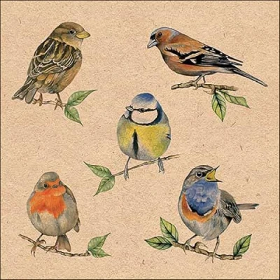 Imagen de Servilletas de papel con diseño pájaros casa (20 unidades, 33 x cm)