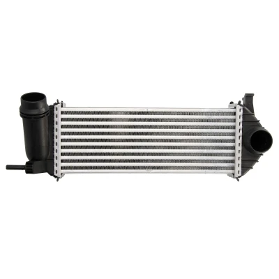 Imagen de THERMOTEC DAM019TT Intercooler RENAULT: Kangoo II Express, / Grand