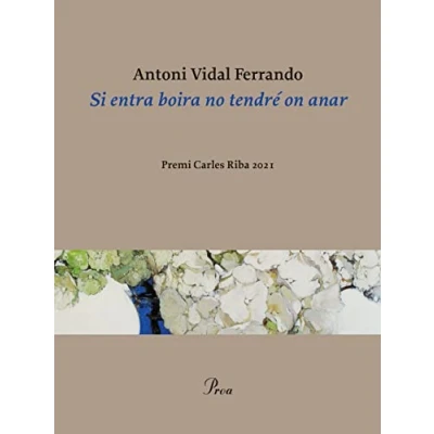 Imagen de Si entra boira no tendré on anar: Premi Carles Riba 2021: 381 (OSSA MENOR)