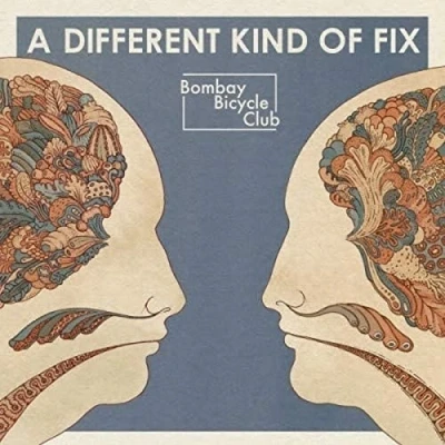 Imagen de A Different Kind Of Fix [Vinilo]