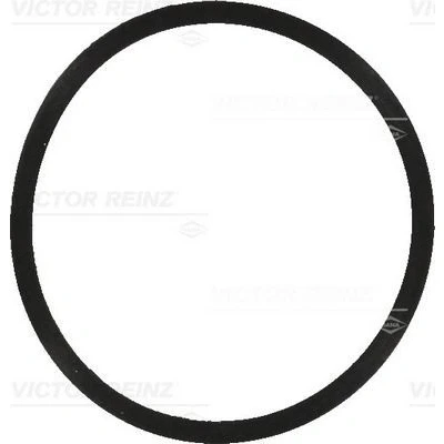 Imagen de Junta, colector de admisión REINZ 40 77570 00