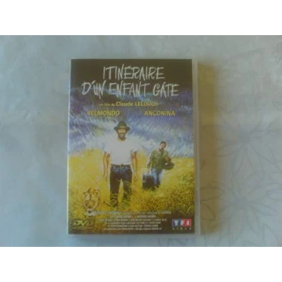Imagen de Itinéraire d&#039;un enfant gâté [Francia] [DVD]