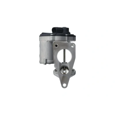 Imagen de VALEO 703249 válvula EGR eléctrico sin radiator EGR, con juntas RENAULT: SCENIC 2, MEGANE 2 Stufenheck