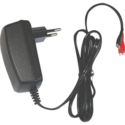 Imagen de DSK 6876 BC 6500 Cargador de 6v para batería Plomo automático, Negro
