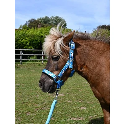 Imagen de Rhinegold Juego de Collar y Cuerda Unicornio, Shetland, Turquesa, Turquesa