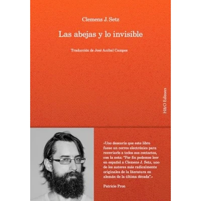 Imagen de Las abejas y lo invisible (SIN COLECCION)