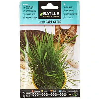 Imagen de Semillas Batlle Hierba para GATOS Graminae
