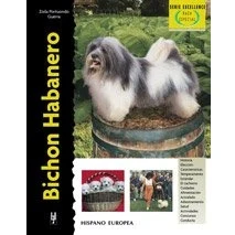 Imagen de Bichon Habanero (Excellence Raza especial)