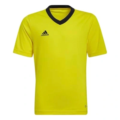 Imagen de adidas Entrada 22 Jersey T Shirt, Team Yellow/Black, 152 Unisex niños