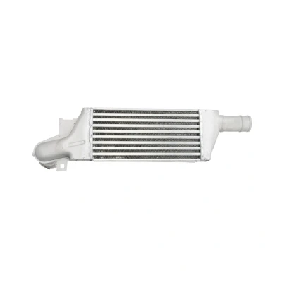 Imagen de Intercooler THERMOTEC DAX009TT
