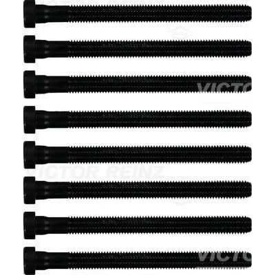Imagen de REINZ 14 32299 02 Juego de Tornillos Culata dentado interior SEAT: Ibiza 4 Sportcoupe, 4, VOLKSWAGEN: Polo V Hatchback, SKODA: Fabia 2