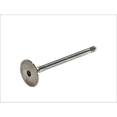 Imagen de FRECCIA R6209/BM Válvula de Escape 31,5 VOLKSWAGEN: Polo IV Hatchback, Golf 5, 4, SEAT: Leon I Ibiza 3, II Hatchback