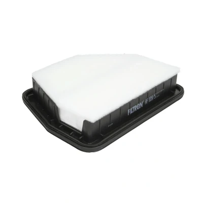 Imagen de FILTRON AP 109/5 Filtro de aire 49,5 228,5 283 Cartucho filtrante CHEVROLET: Captiva, OPEL: Antara, VAUXHALL: Antara