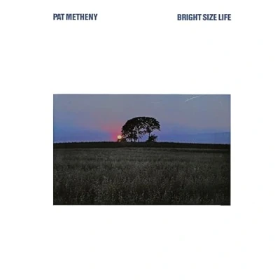 Imagen de Bright Size Life (Luminessence) [Vinilo]