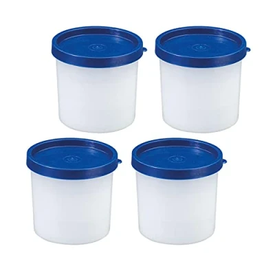 Imagen de Westmark 4 Recipientes para hierbas/para congelador, Incl. tapa, Capacidad de llenado: 200 ml cada una, Apilables, Plástico, Trio, Color: transparente/azul, 25842270
