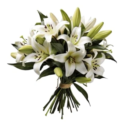 Imagen de DECOALIVE Ramo Lirios Blancos Bouquet 10 Flores Liliums Naturales y Frescos