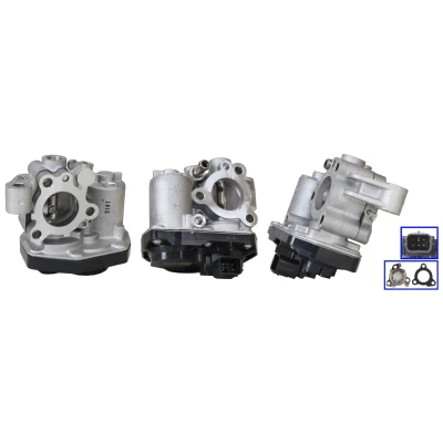 Imagen de Válvula EGR ELSTOCK 73 0466