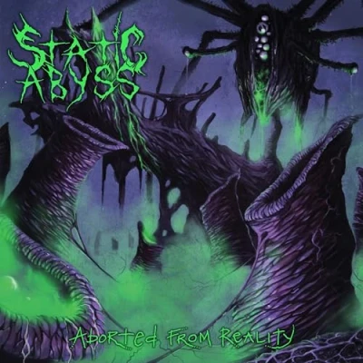 Imagen de Aborted From Reality Vinilo Static Abyss