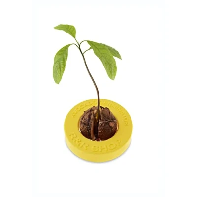 Imagen de R&amp;R SHOP Avocado Germinator Maceta Flotante para germinación de Aguacate, Kit Cultivo Semillas, plástico maíz 100% reciclable y compostable (Amarillo)
