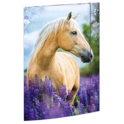 Imagen de RNKVERLAG 45381 carpeta de planos Horse Dreams 310 x 440 mm, documentos para DIN A3, con cierre elástico, 1 unidad