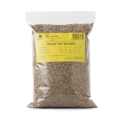 Imagen de R&amp;R SHOP Semillas para Césped, Festuca Arundinacea, Resistentes y Duraderas (500gr 20mq)