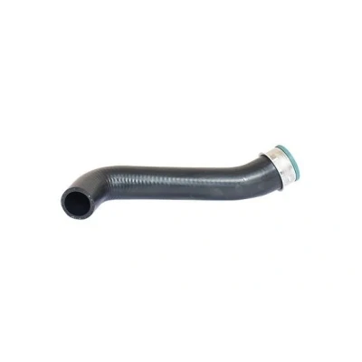 Imagen de BUGIAD 82649 Manguera Turbo 50 SEAT: Leon I Hatchback, Toledo 2 Limousine, VOLKSWAGEN: Golf 4, 4 Variant, Bora Berlina, AUDI: A3 Hatchback
