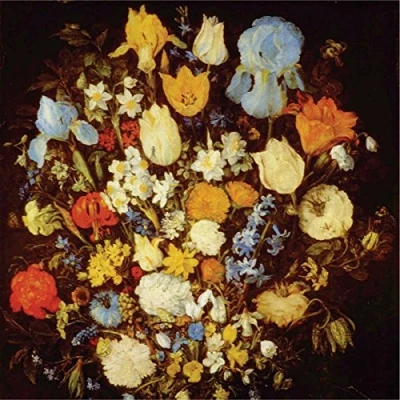 Imagen de Navigated Like The Swans Vinilo