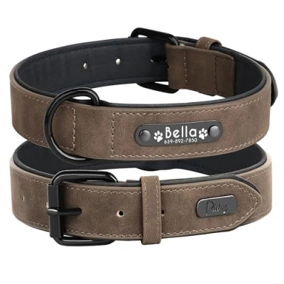 Imagen de Didog Collar de Piel Suave Acolchada Personalizable para Perro, Chapa Nombre, Anilla en D, Grabado tamaños pequeño, Mediano y Grande