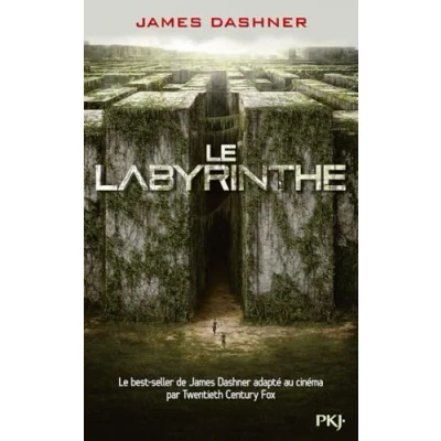 Imagen de Le Labyrinthe (l Epreuve: Volume 1)