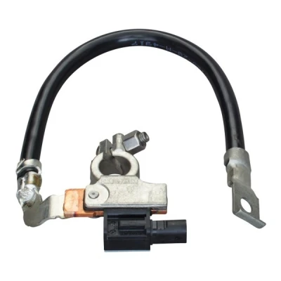 Imagen de HELLA 6PK 010 561 901 Sensor, control de batería