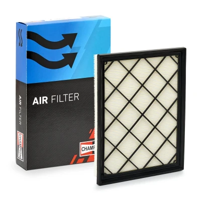 Imagen de Filtro de aire CHAMPION CAF101189P